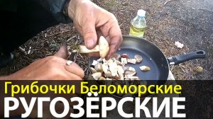 Грибочки Беломорские Ругозёрские | Беломорские приключения 2016 | Приключения на байдарке