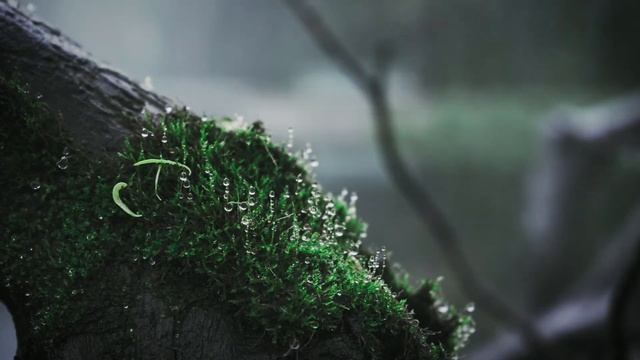 Звук Дождя и Раскаты Грома. Для Глубокого Сна и Релаксации. смотреть онлайн