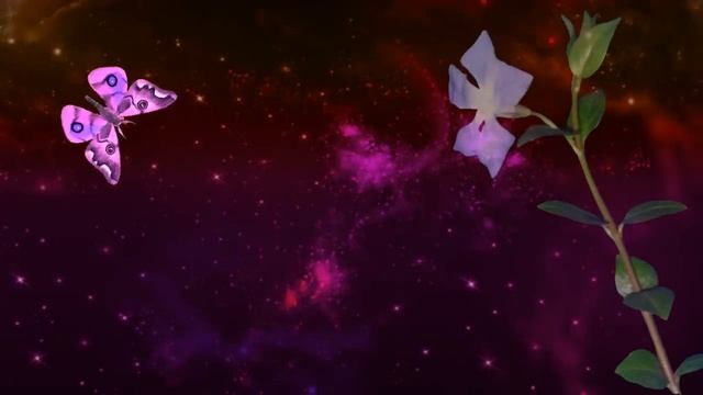 Luna Mantra. Мантра Луны творит чудеса. смотреть онлайн