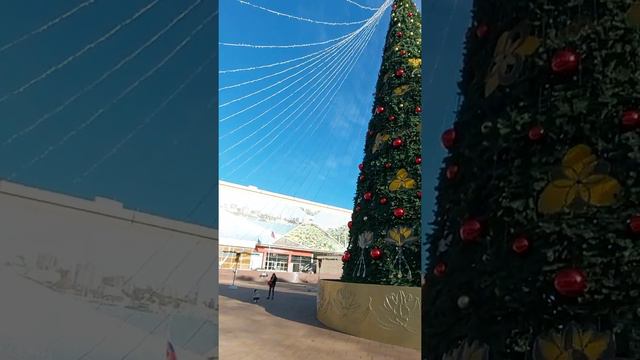СОЧИ СЕЙЧАС. ЕЛКА НА ПЛОЩАДИ В СОЛНЕЧНЫЙ ДЕНЬ. смотреть онлайн