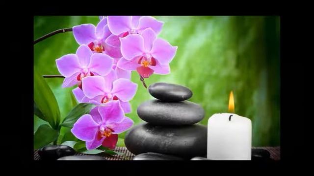 Красивая и нежная восточная музыка смотреть онлайн