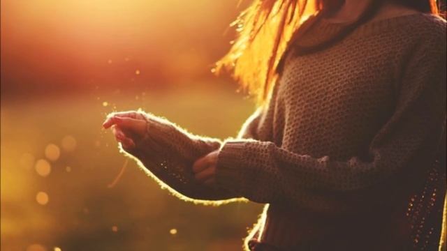 Sorrow - Sleepless Nights (Exist Strategy Ambient Loop) смотреть онлайн