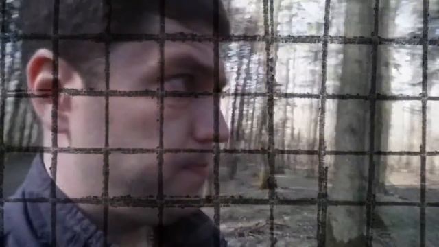 Прогулка тролля по лесу. Кто этот человек? смотреть онлайн