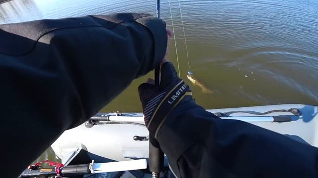 Хитрые щуки на джиг, раттлины опять выручают по крупным зубастикам смотреть онлайн