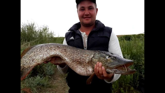рыбалка в тургае 12 17 июля 2014 г р Тургайка смотреть онлайн