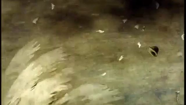 Студия Александра Петрова Ещё раз Alexander Petrov One More Time 2010 смотреть онлайн