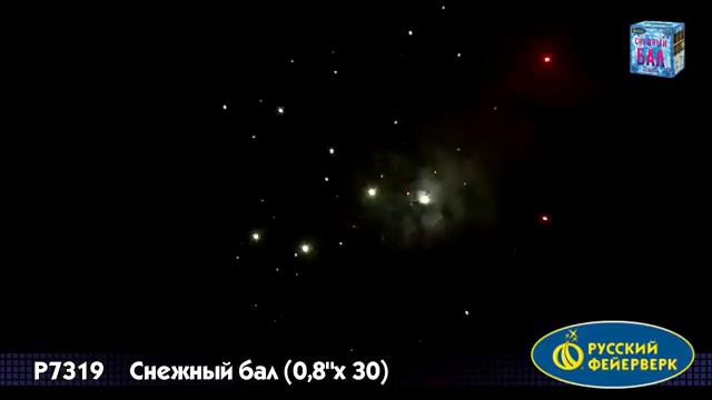 р7319