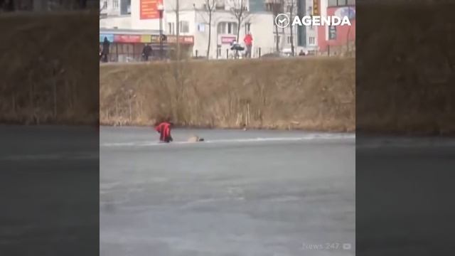 Осторожно!Это видео возращает веру в людей!
