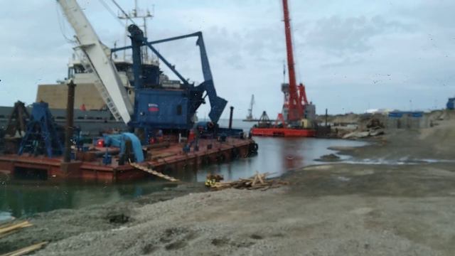 черепаха харасавэй смотреть онлайн