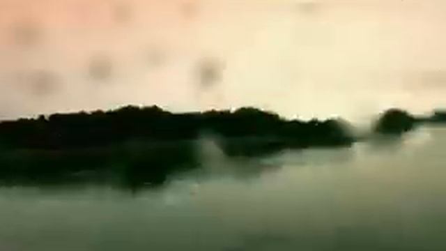 Berkley - Welcome To Woo :30 смотреть онлайн