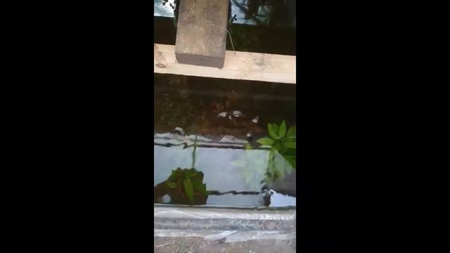 Новый фильтр смотреть онлайн