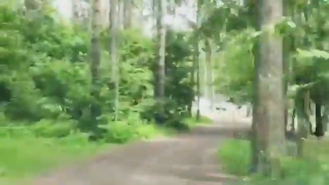 Схема проезда в Бухту радости смотреть онлайн