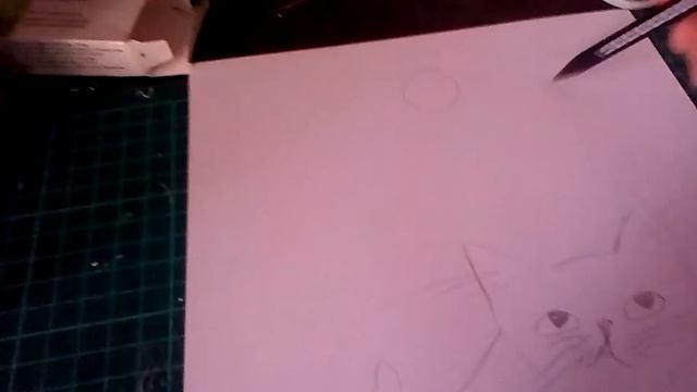 Как нарисовать красивую кошку смотреть онлайн