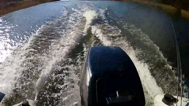 Лодка Колибри КМ-300, и мотор Эвинруд 6-8. смотреть онлайн