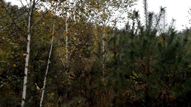 Дикие места Винницкой области №1 смотреть онлайн