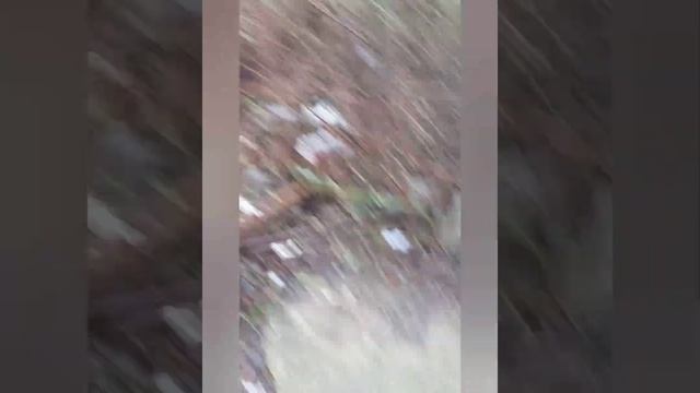 железноводск походка домой смотреть онлайн