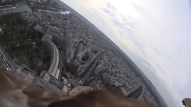 Экшн камера на орле Flying eagle point of view смотреть онлайн