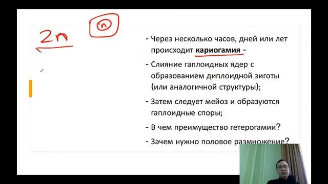 Грибы смотреть онлайн