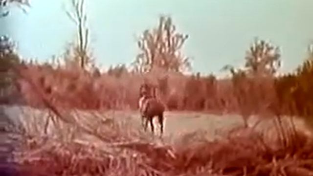 Damon And Pythias (1962) || Full Movie || Public Domain Movies