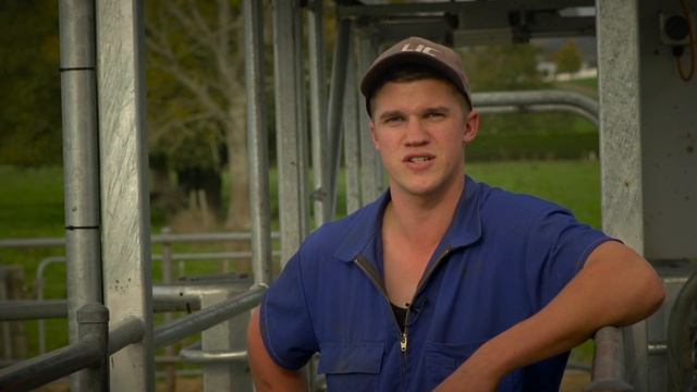 Allflex Intelligate смотреть онлайн