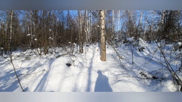 охота на лесную и каменную куницу... смотреть онлайн