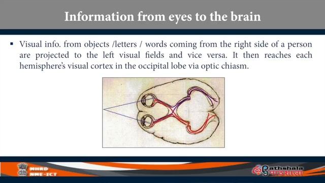 Lings P10 M26 Lateralization & Localization methods смотреть онлайн