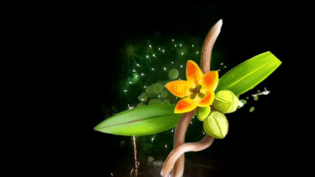 Sundarta Me Nikhar Lane Ke Ayurvedic Upay