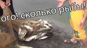 супер рыбалка на бредень! куча рыбы в бредень!