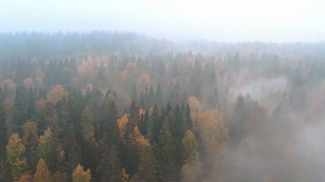 Стихотворение: "Смысл бытия" Автор Александр Григорьев. смотреть онлайн