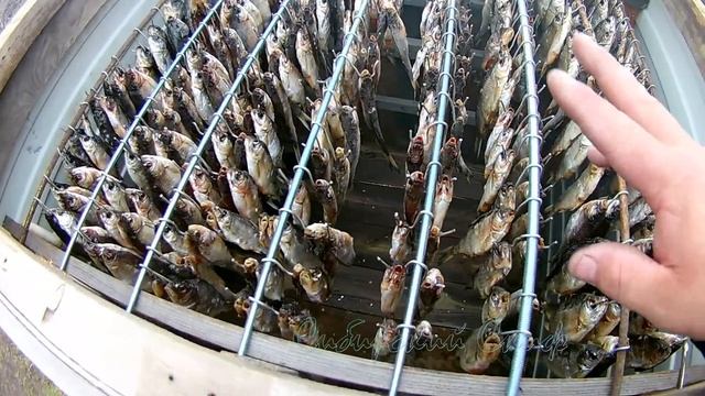 Научные Открытия и Изобретения