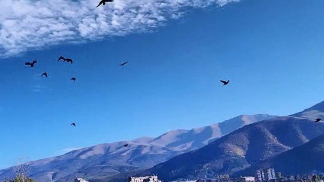 Vanadzor-Kirovakan( мой любимый город )))))