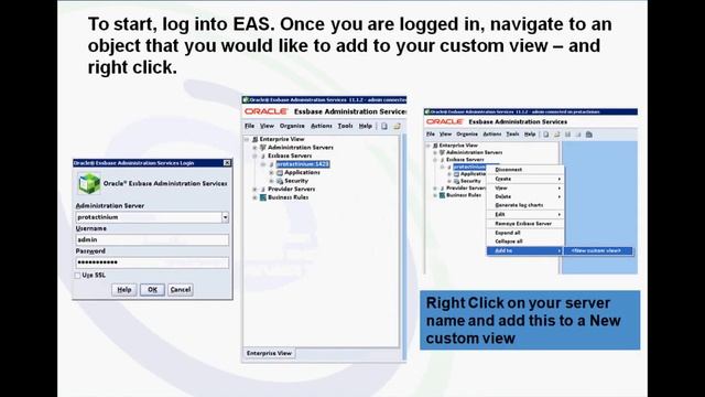 Build a Custom View in Oracle Hyperion Essbase Administration Services (EAS) смотреть онлайн