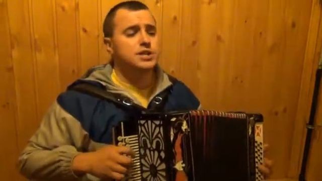 Старый клен (гармонь) смотреть онлайн