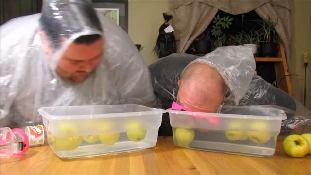 The Apple Bob Challenged - KMDT смотреть онлайн