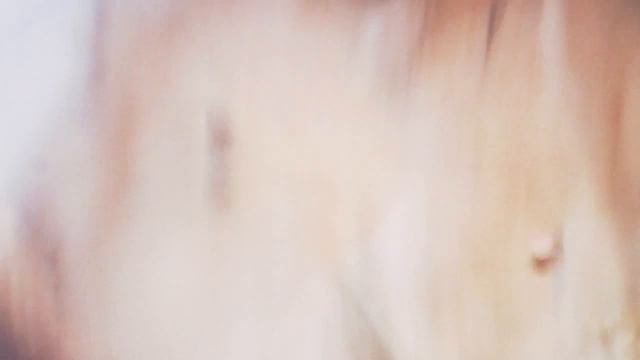 Кролики грызут палку смотреть онлайн