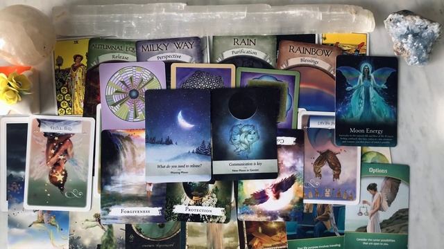 ? Why Do You Feel Connected to Your Favorite Celebrity? ? Pick a Card! ⭐️ Timeless Tarot/Psychic смотреть онлайн