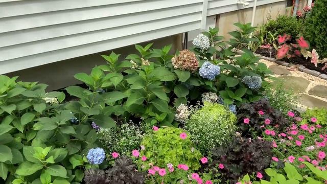 Side Garden Tour Part 3 смотреть онлайн