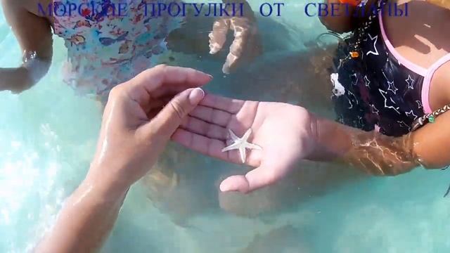 МОРСКИЕ ПРОГУЛКИ ОТ СВЕТЛАНЫ смотреть онлайн