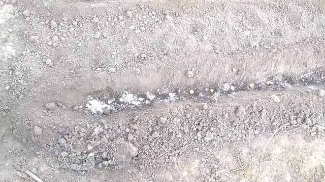 Посадка лука под зиму. Простой и надежный способ. смотреть онлайн