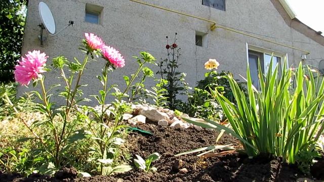 Отдых на природе... смотреть онлайн