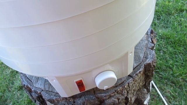 Дача. Сушка яблок и слив. 07.08.2022. смотреть онлайн