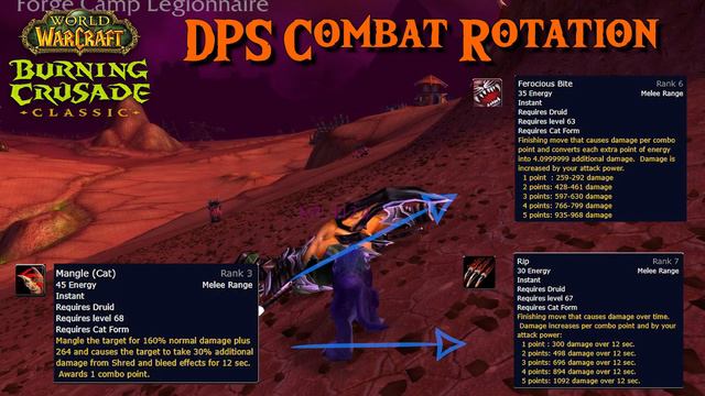WOW TBC Classic: Druid Leveling Guide