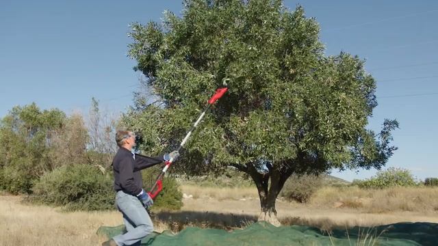 Einhell GE-FS 18/53 Li-Solo 220-310 cm 18V Olive Harvester смотреть онлайн