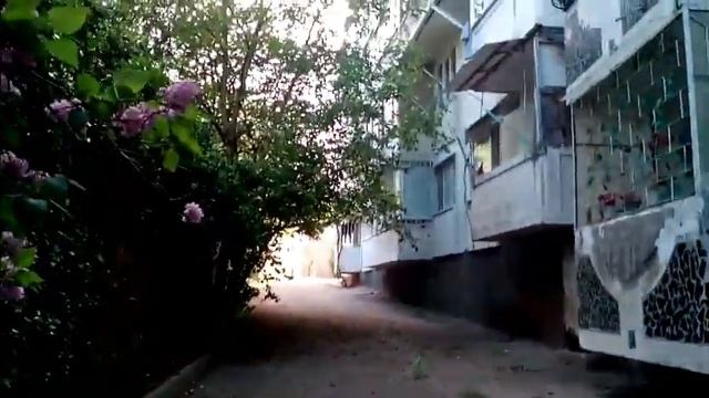 Прогулка с Бусинкой и Ёжиком/01.05.2017 смотреть онлайн