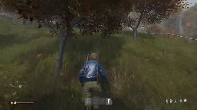 DayZ ммм березки грибы и ваншоты форточника) смотреть онлайн