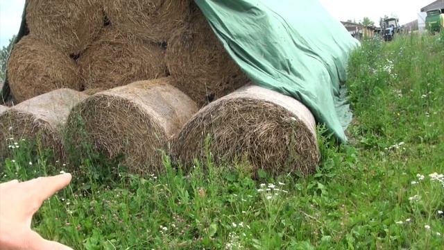Сено под флисом дольше года смотреть онлайн