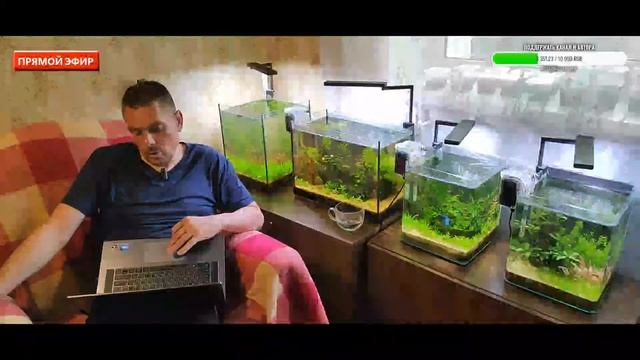 Вопросы на ответы. смотреть онлайн