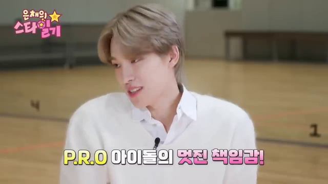 Малыш Дино (SEVENTEEN) и малыш Ынчэ. Как Дино уживается с 12 хёнами (Eunchae's Star Dairy)