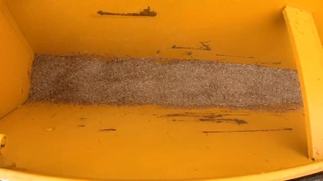 Посев многолетней травы с овсом. Мой метод. смотреть онлайн