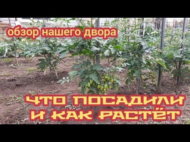 что посадили и как растёт.... смотреть онлайн